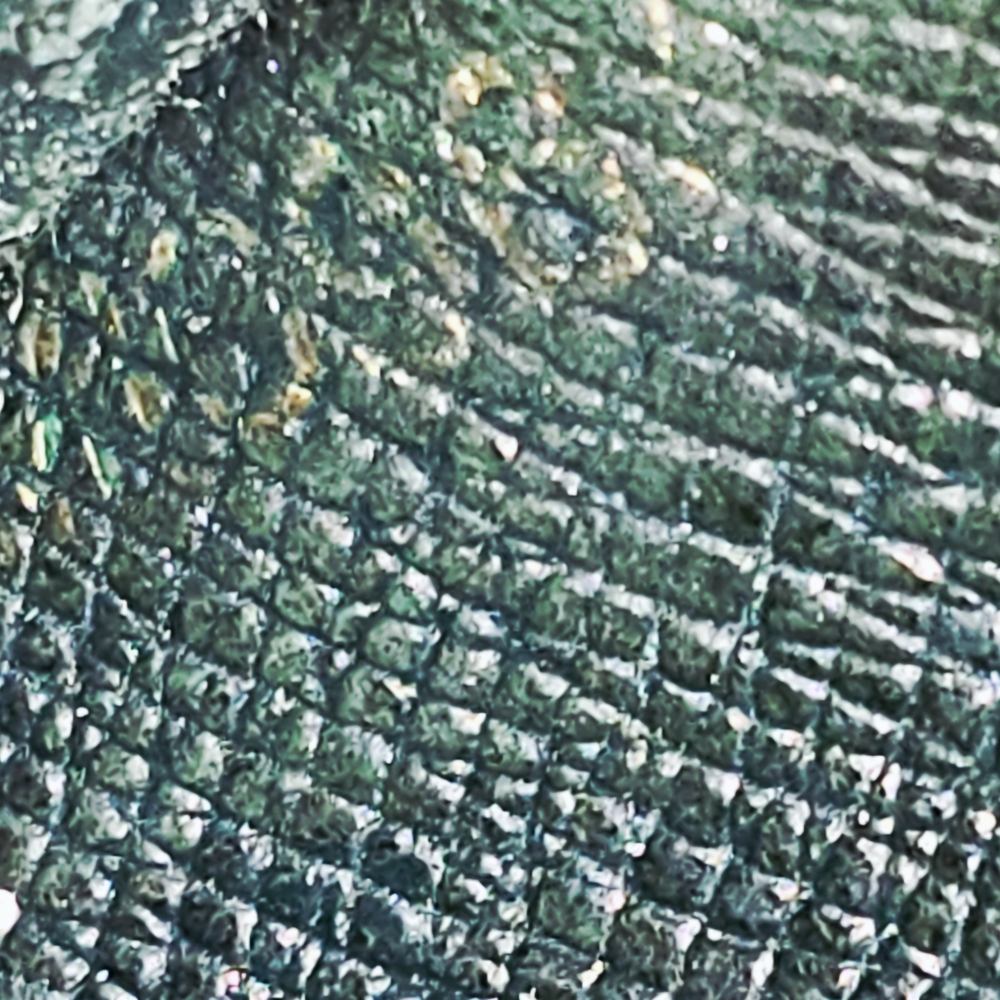 LOUIS VUITTON Taiga Brazza Wallet in dark green - Picture 9 of 9